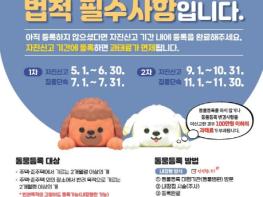 대전시, 반려동물 등록 자진신고 기간 5~6월 운영 기사 이미지