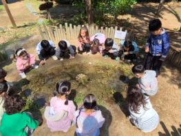 충북교육청, 2025년 영유아학교 시범사업 본격 추진 기사 이미지