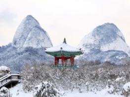 진안군 마이산도립공원 동절기 암마이봉 등산로 폐쇄 기사 이미지