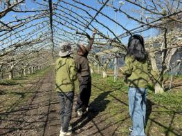 함평군 농업기술센터, 영농철 맞아 ‘일제 출장의 날’ 본격 운영 기사 이미지