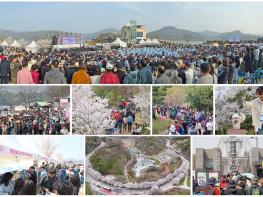 2026 임실 옥정호 벚꽃축제, 역대 최대 인파 기록 또 갱신 기사 이미지