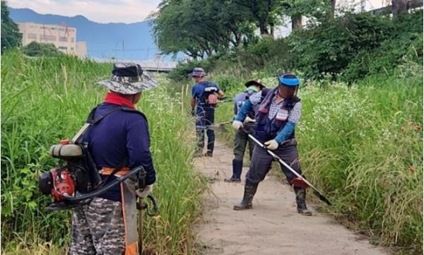 임실군 오수면, 주요 도로 및 하천 변 풀베기 작업 실시 기사 이미지